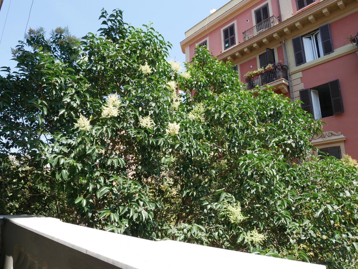 Nori Guest House Rome Extérieur photo